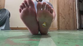 Making Your TINY Fantasy Come True