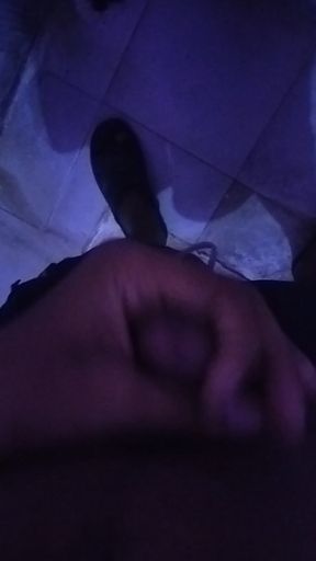 Desi land bihar