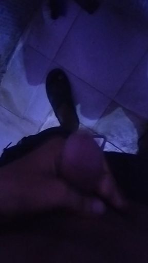 Desi land bihar