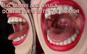 Big Yawns and Uvula - Double View with the Mirror (video Request)