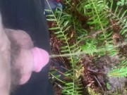 Peeing on the bank near a small waterfall
