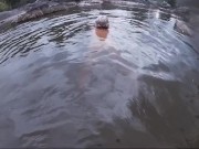 Amateur Wife Nude Beach Swimming