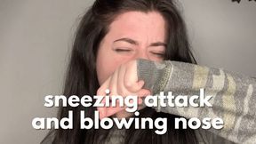 Sneezing and Nose Blowing 2
