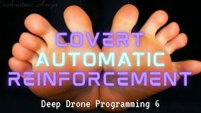 COVERT AUTOMATIC REINFORCEMENT: Deep Drone Programming 6