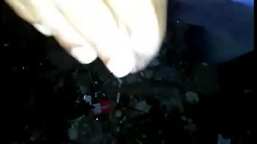 paja dominicano