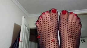 dani_leg in black dot patterned pantyhose with hot sexy red toenails