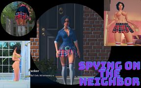 Looking at the Neighbor