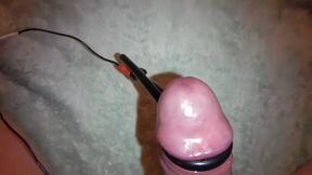 estim with cockring on