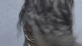 Une nuit sous mes ordres…