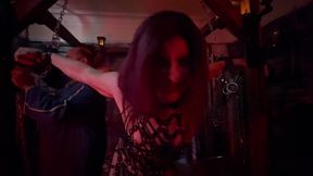 Part 2 Allegro's Forst Experience with Lanista Bear