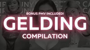 Gelding Compilation - Effects of Castration, Bilateral Orchiectomy, Goth Girl Reacts