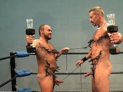 Daddies Gym Torment And Clothespin Heat