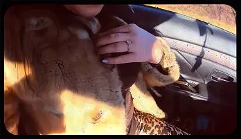 Sultry Stepsisters' Outdoor Escapades