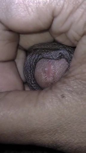 United States Hairy Hard Big Cock Boy